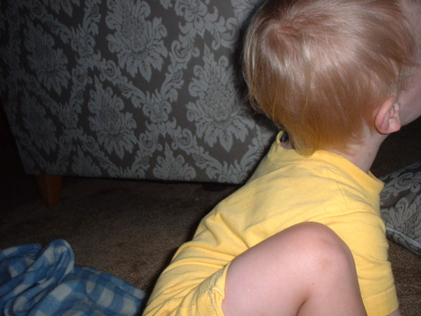 The back of Atticus's head.jpg 67.5K